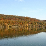 Herbst 2012 002 : Rosarium am See